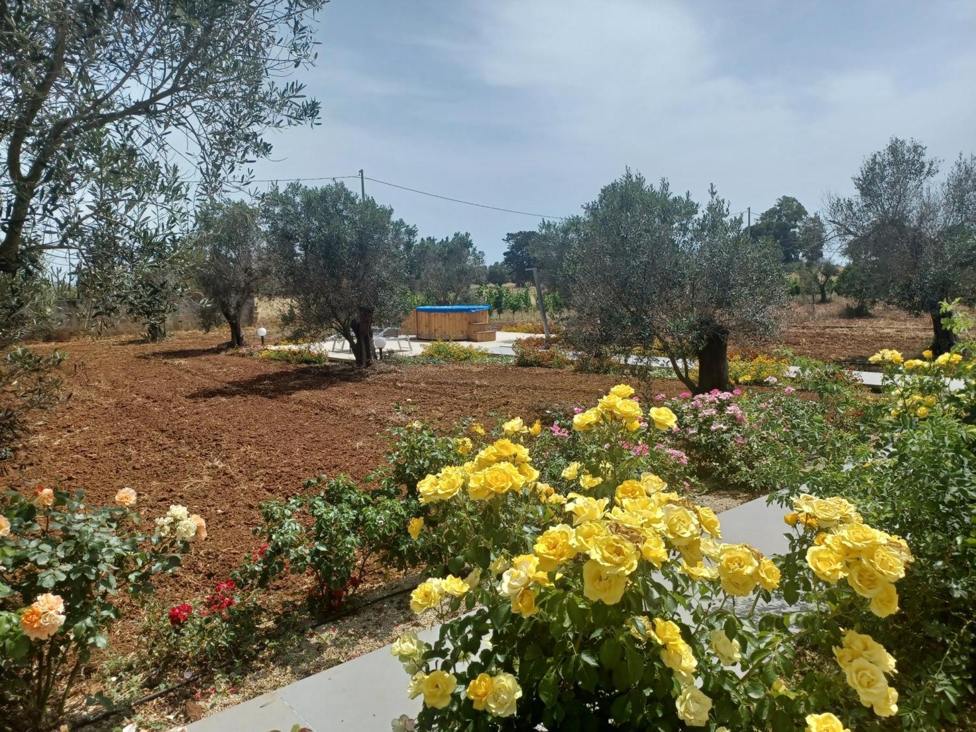 Zeituna Lodge A Porto Cesareo Torre Lapillo Esterno foto